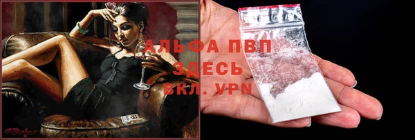 spice Абаза