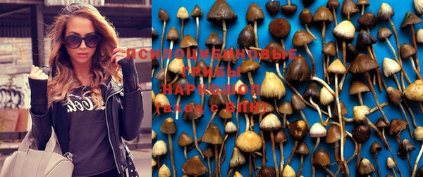 гидра Абинск
