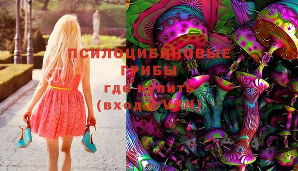 spice Абаза
