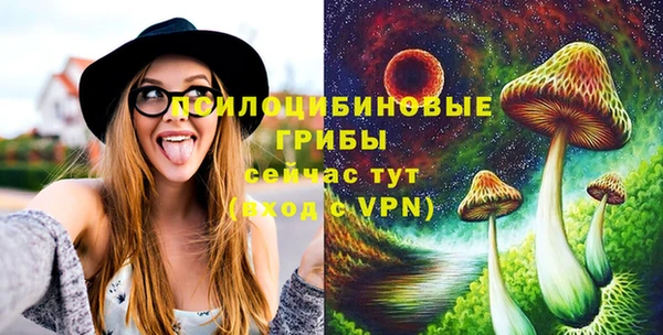 spice Абаза