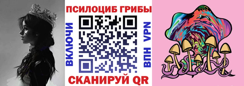 Галлюциногенные грибы Psilocybe  Шлиссельбург 